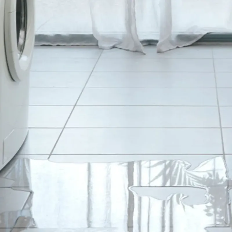 Appliance Leak Cleanup in Sullivan, ME
