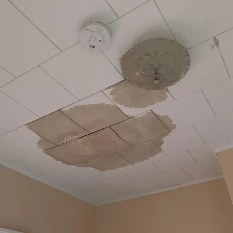 Ceiling Water Damage Repair in Sullivan, ME