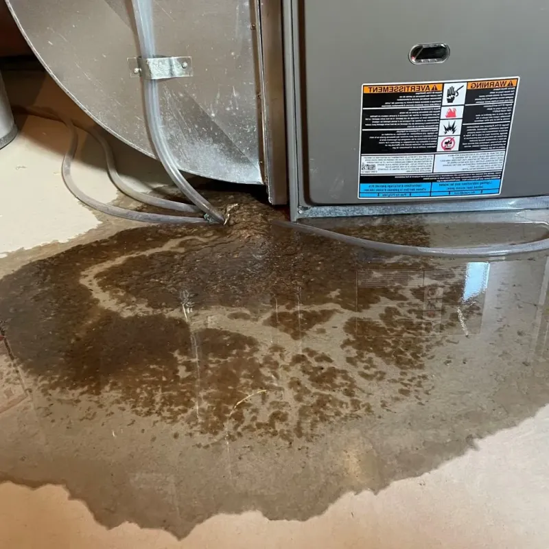 Pipe Burst and Leak Restoration in Sullivan, ME